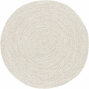 Beige Braided Faux Jute Rug