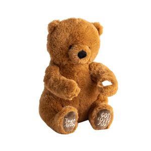 Today and Always - Mama And Baby Bear Plush Set