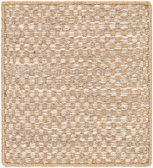 Ayers Beige & Gray Area Rug - Clearance