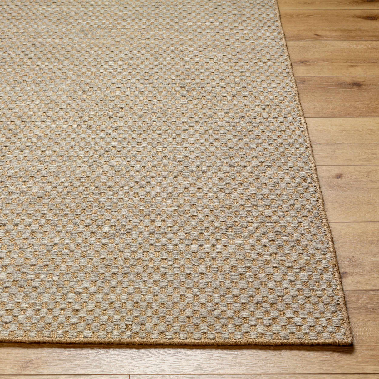 Ayers Beige & Gray Area Rug - Clearance