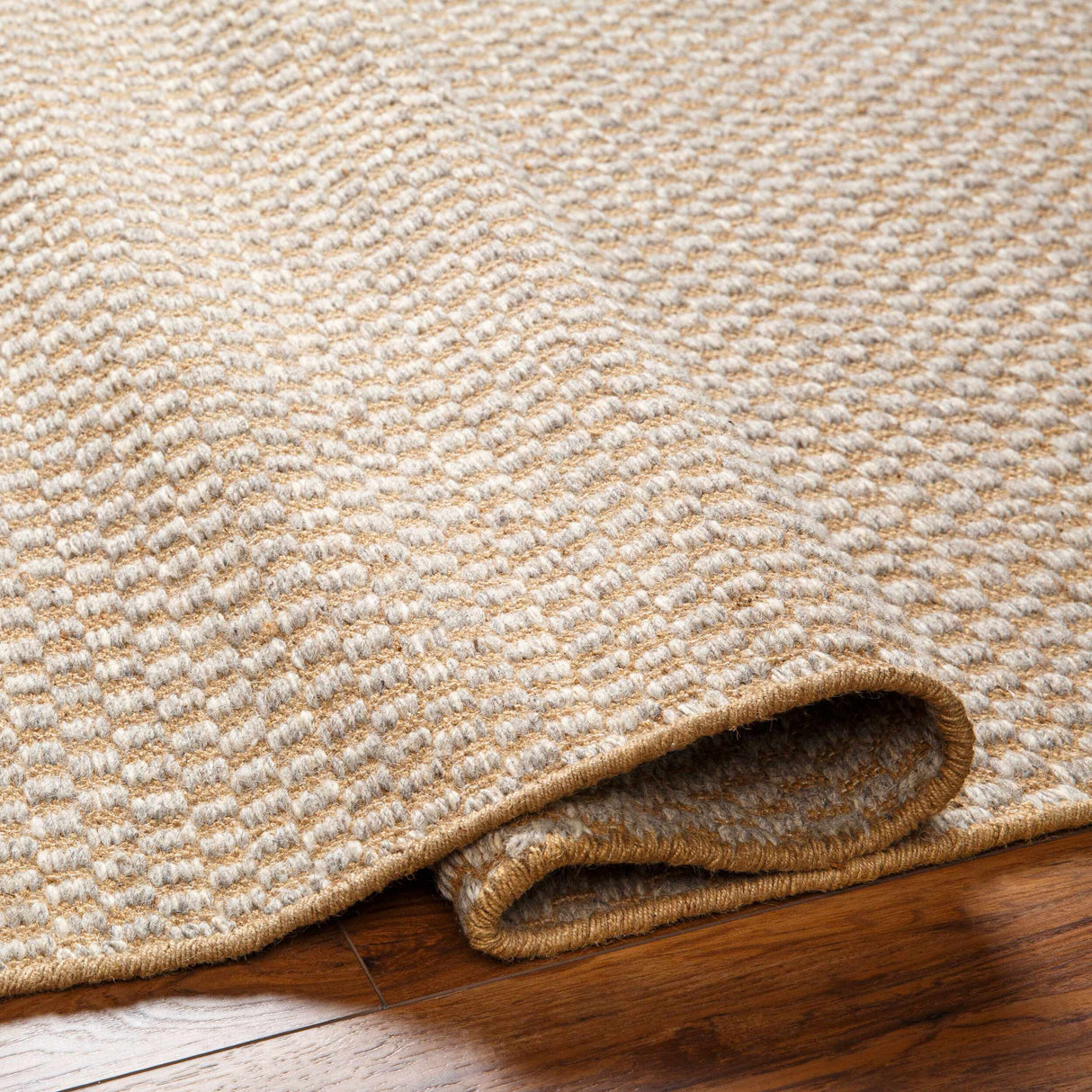 Ayers Beige & Gray Area Rug - Clearance