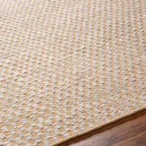 Ayers Beige & Gray Area Rug - Clearance