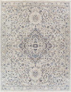 Buguey Area Rug - Clearance