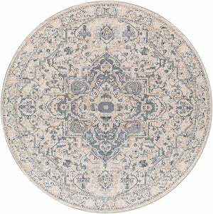 Buguey Area Rug - Clearance
