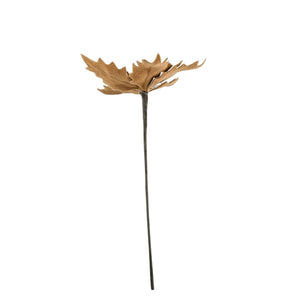 13" Gingerbread Poinsettia Pick