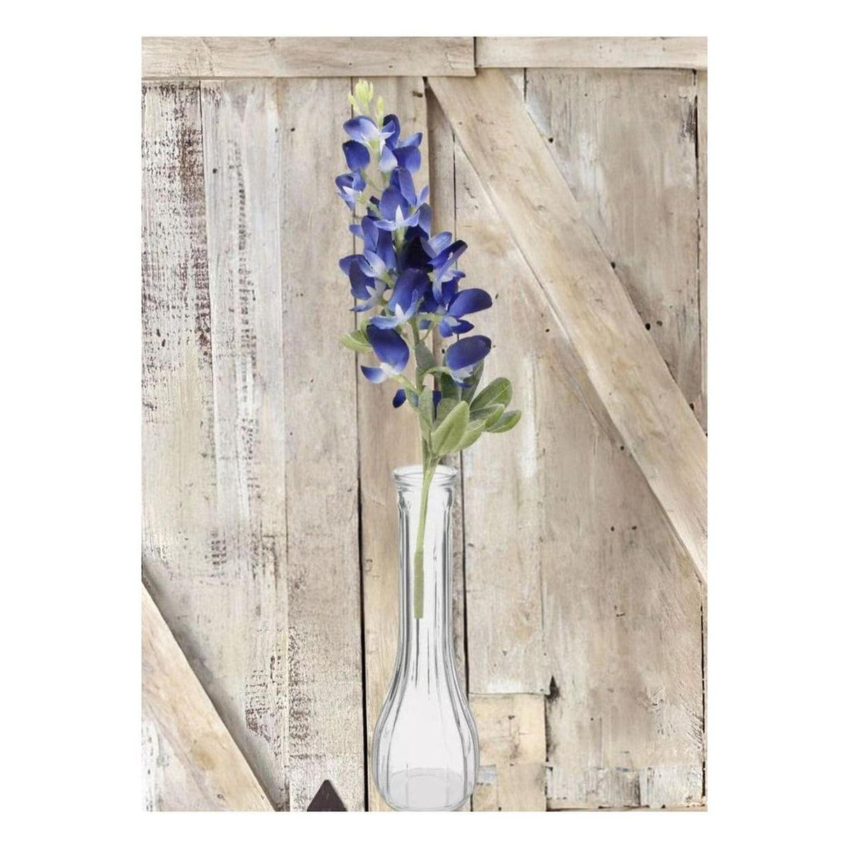 18" Blue Bonnet Spray Stem