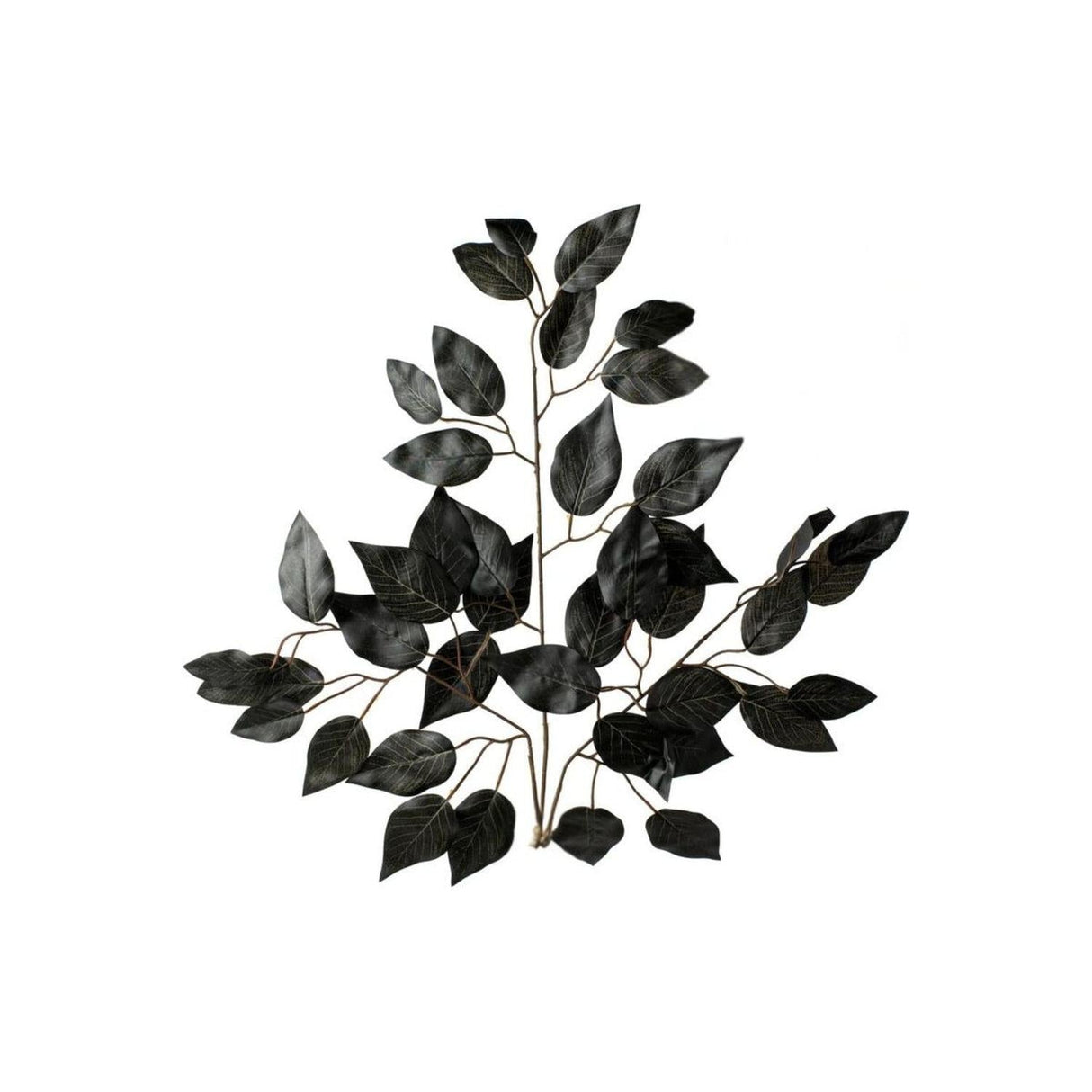 23" Silk Ficus Spray: Black (Set of 12)