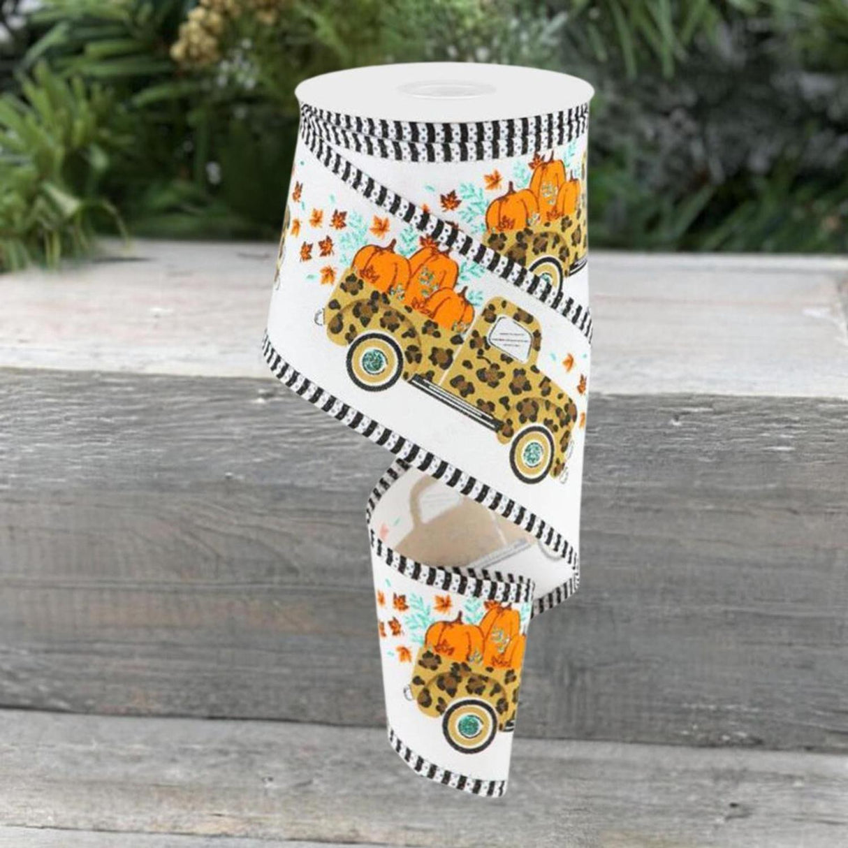 2.5" Leopard Truck Stripe Edge Ribbon: White (10 Yards)