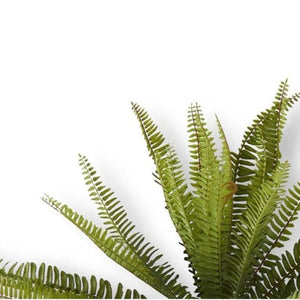 26 Inch Fern Bush