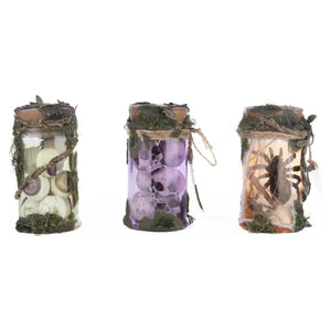 Broomstick Acres Potion Jars Assortment of 3