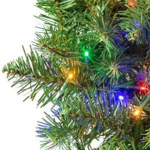 Kurt Adler 9-Foot Pre-lit Multicolored LED Noble Fir Garland