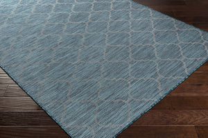 Unique Outdoor Trellis Area Rug, Teal - Clearance