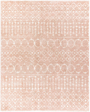 Blush Plush Area Rug