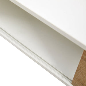 Modern Rattan Coffee Table with Sliding Door