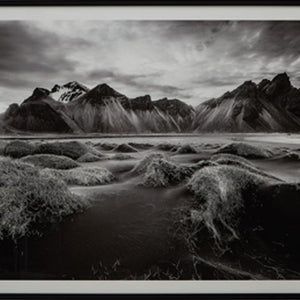 Delstone - Wall Art - Black / White