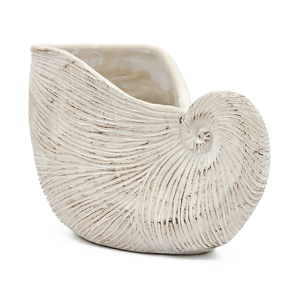 11.5x6.7x7.7 Sand and Cement Nautilus Shell Planter with Textured Beige Finish