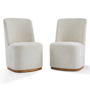 Modern Indoor Dining Chair Set of 2