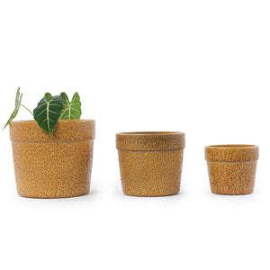 Handmade Ceramic Planter Set of 3