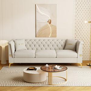 Contemporary Velvet Sofa With 2 Pillows