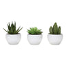 Artificial Succulent Plants (Set of 3)