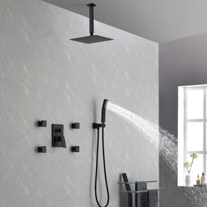 10-Inch Matte Shower System