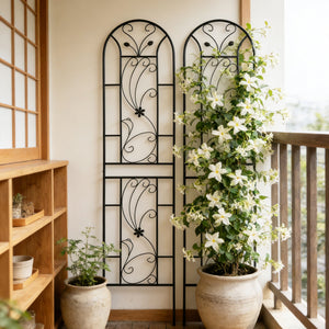 2 Pack Metal Garden Trellis