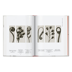Karl Blossfeldt. The Complete Published Work. 45th Ed. (German, French, English)