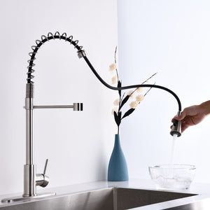 Modern Single Handle Spring High Arc Kitchen Faucet With Water Filter System