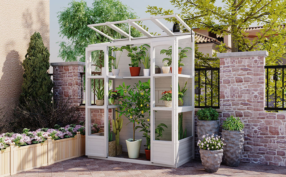 TOPMAX 78-inch Wooden Walk-in Greenhouse with 4 Skylights and Folding Shelves