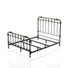 Transitional Style Bed With Accents