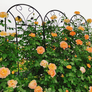 4 Pack Metal Garden Trellis