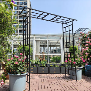 Metal Garden Arch with Adjustable Width for Climbing Plants