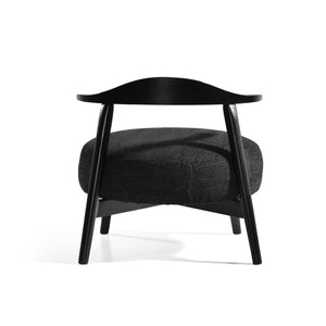 Modern Living Room Upholstered Accent Chair