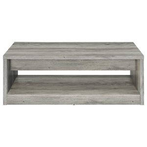 Nuberg - 2 Drawer Coffee Table Rectangular Design - Gray