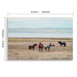 Horse Framed Wall Art Decor: Country Western Farmhouse Wood Painting
