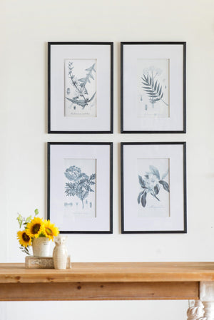 Botanical Wall Art Prints, Home Decor For Living Room Dining Room, Bedroom, Hallway (Set of 4) - White / Black