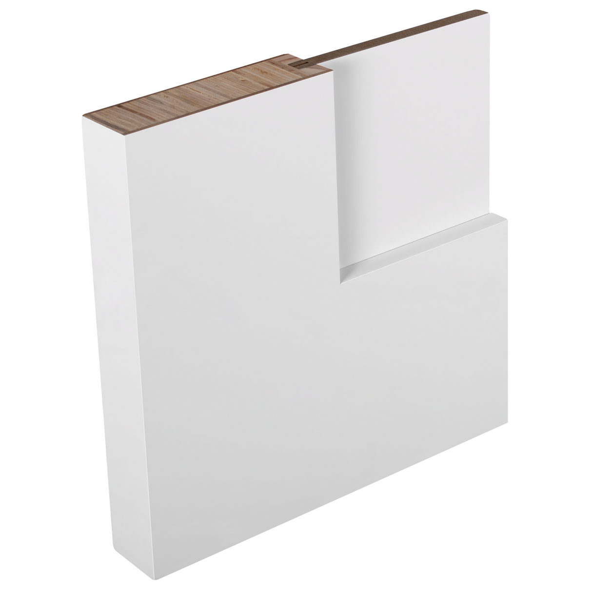 30 In. X 80 In. X 1-3/8 In. Shaker Door