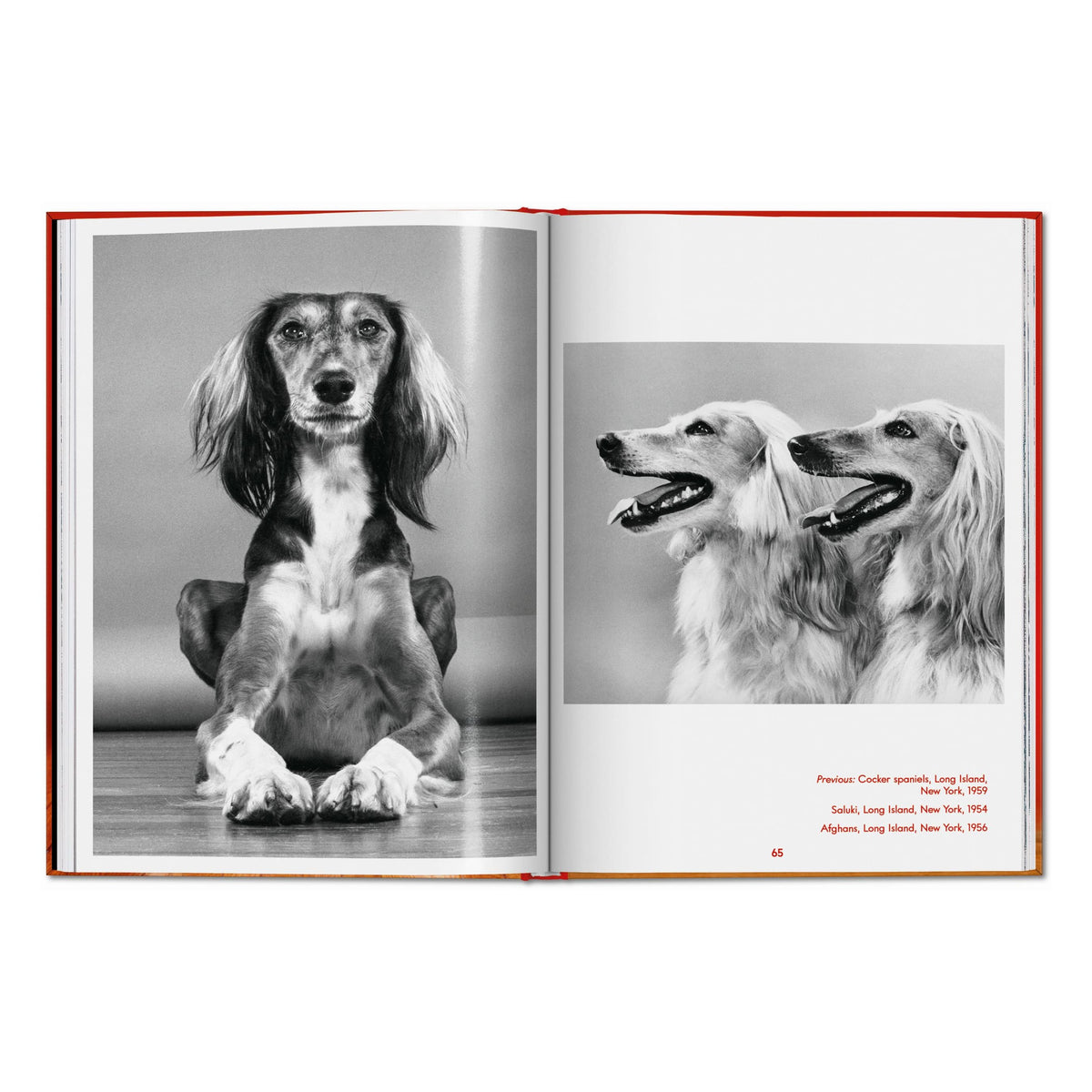 Walter Chandoha. Dogs. Photographs 1941–1991 (English)