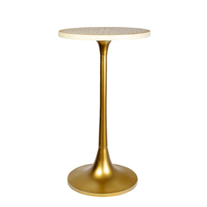 Nysha Modern Bohemian Metal/Resin Inlay Top End Table
