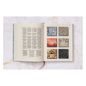 Jan Christiaan Sepp. The Book of Marble (German, French, English) (FFE)