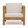 Brava - Mid - Century Modern Club Chair With Water Resistant Cushions