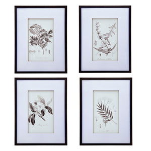 Botanical Wall Art Prints, Home Decor For Living Room Dining Room, Bedroom, Hallway (Set of 4) - White / Black