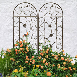 Rustproof Metal Garden Trellis Set with Reliable Plant Support - Brown