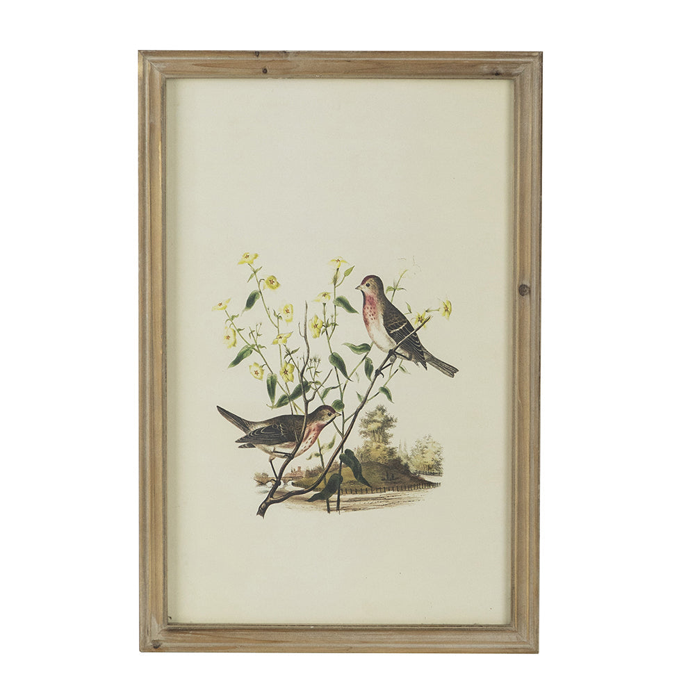 Set of 4 Bird Framed Prints