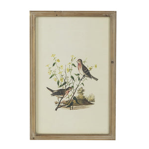 Set of 4 Bird Framed Prints