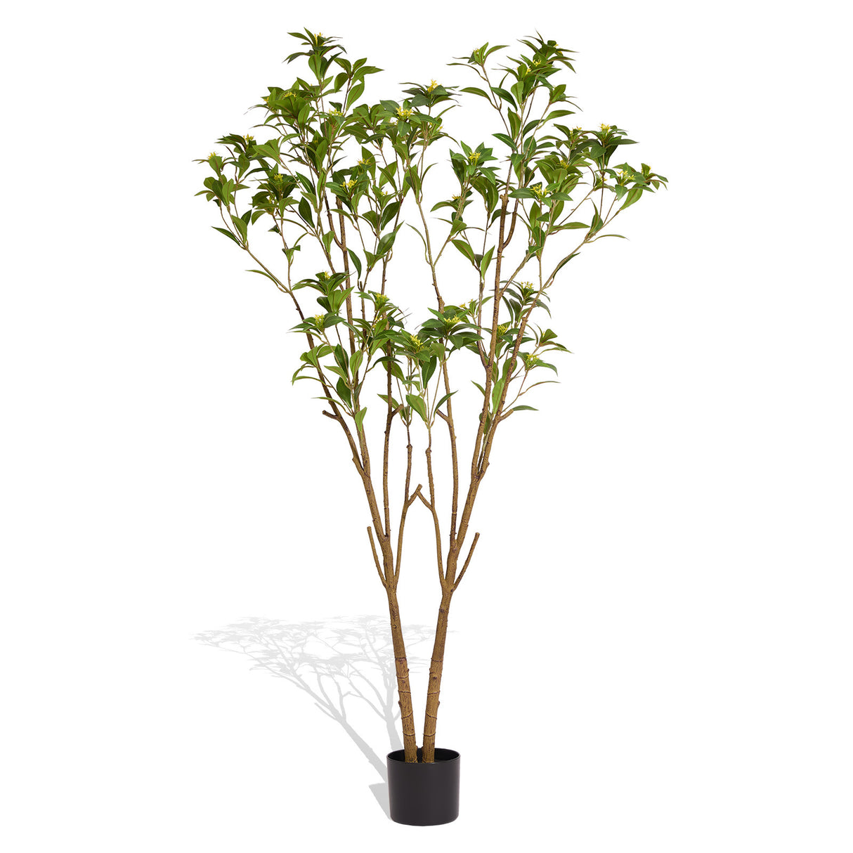 Faux citrus tree, 5.2FT, Artificial indoor plant