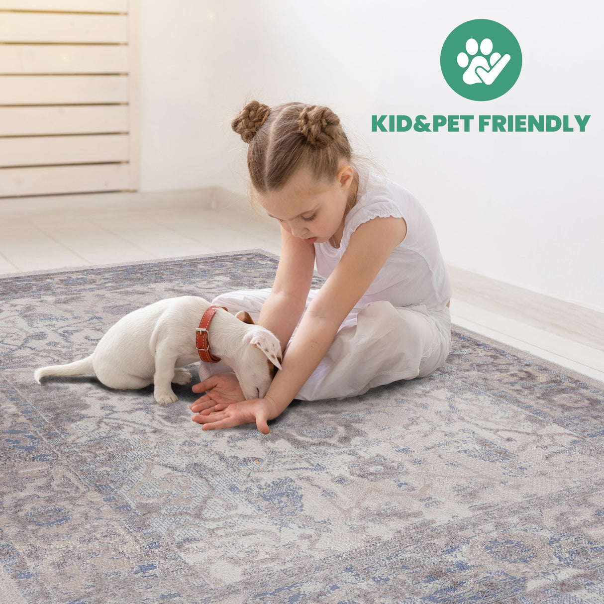 NAAR PAYAS Traditional Non-Shedding and Stain Resistant Area Rug