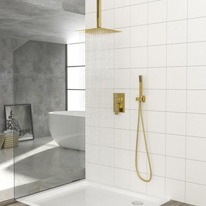 Dual Shower Head System with Ceiling Mount and Rough-In Valve - Pearl Silver, Black, or Gold