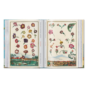 J. C. Volkamer. The Book of Citrus Fruits. 45th Ed. (German, French, English)