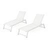 Myers Modern Chaise Lounge Set With Adjustable Back